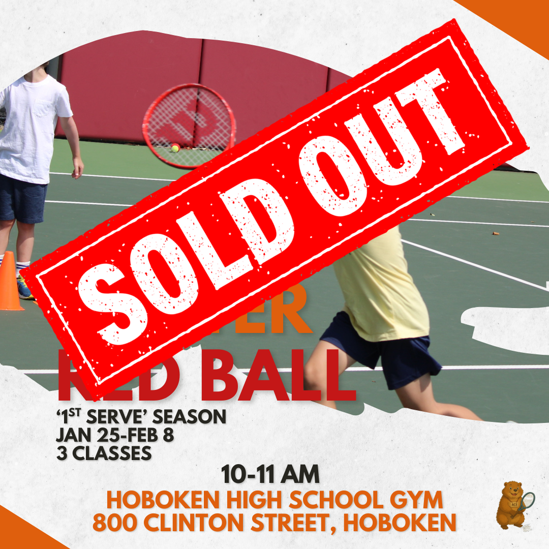 3 Hoboken Aces Classes | Jan 25-Feb 8, Ages 4–7