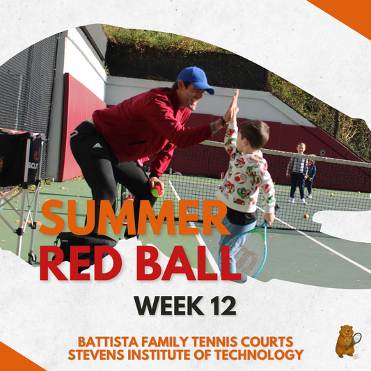 Week 12 (August 17th, August 19th, August 21st)