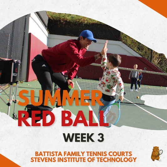 Week 3 (June 15th, 17th, 19th)