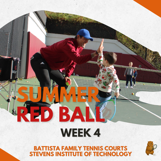 Week 4 (June 22nd, 24th, 26th)